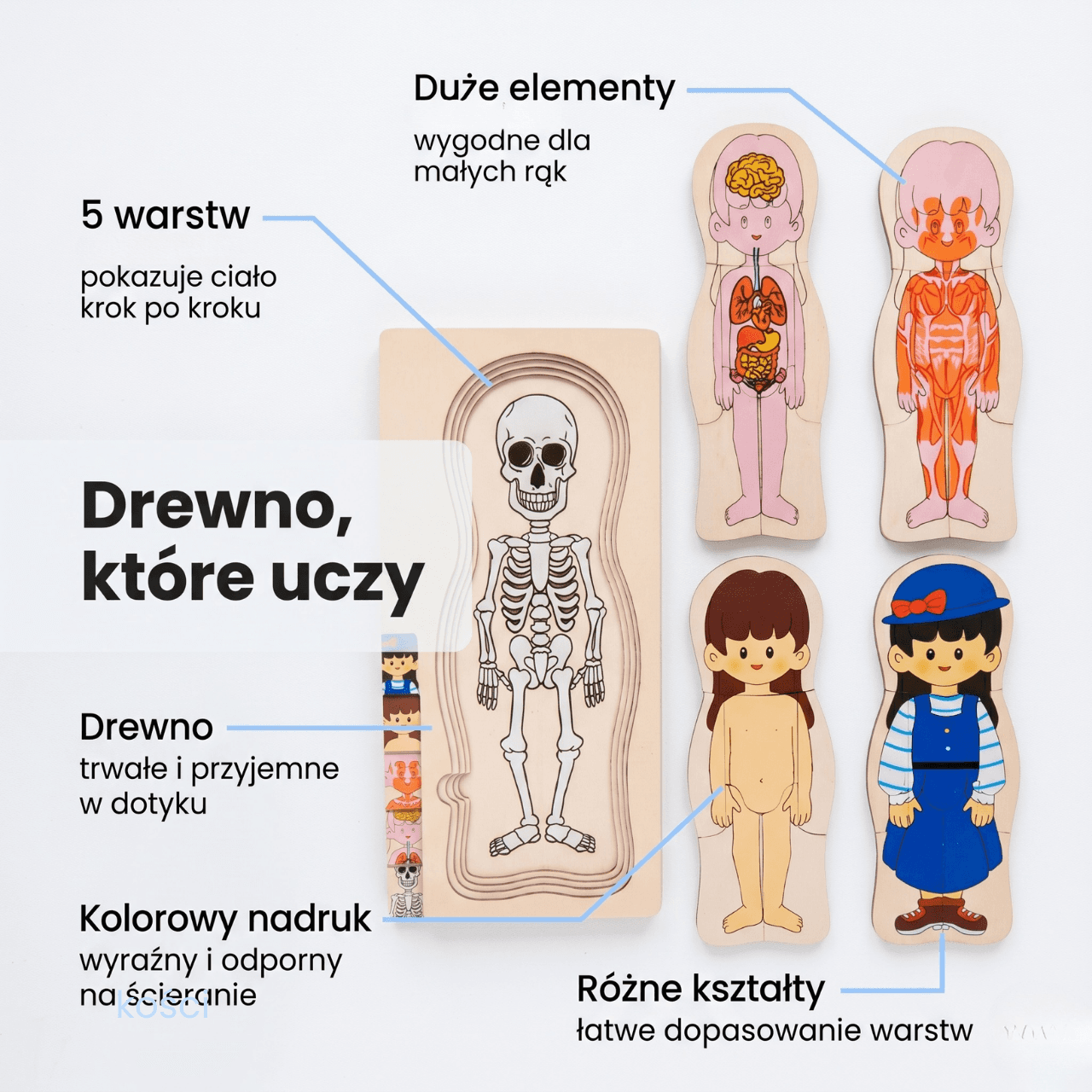 Ciałko znawca Dziewczynka