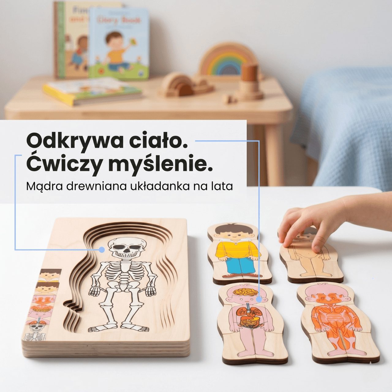 Ciałko znawca Chłopiec