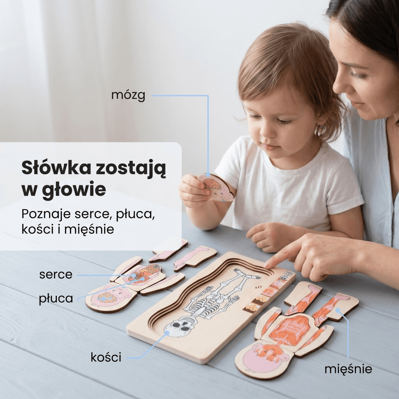 Ciałko znawca Chłopiec