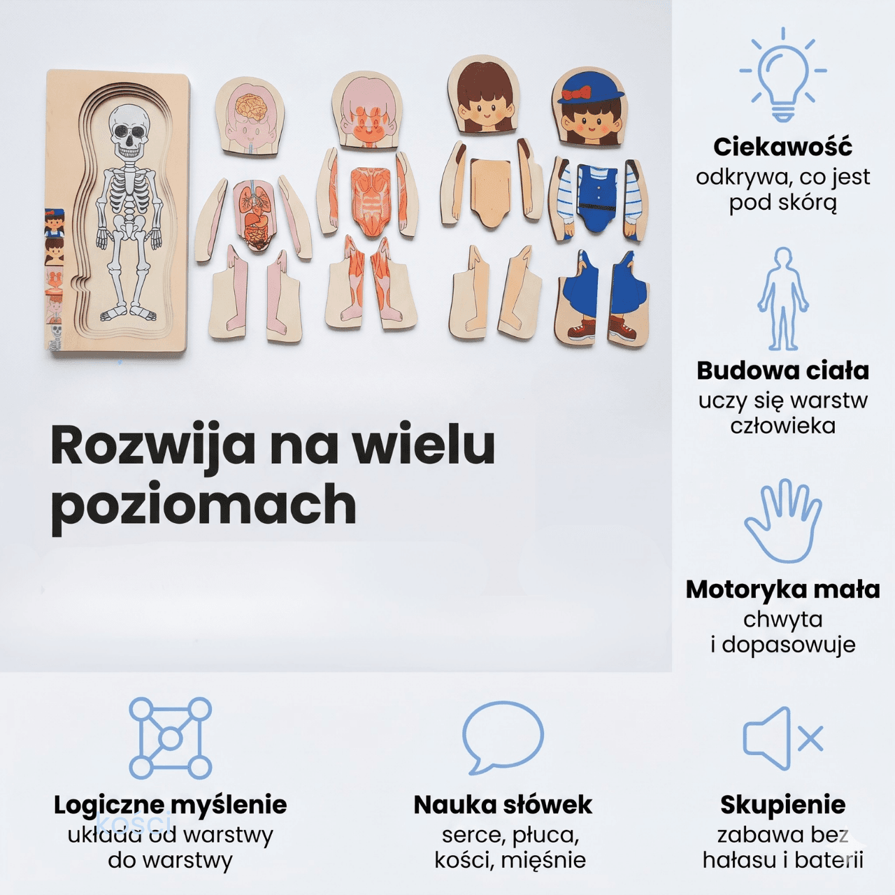 Ciałko znawca Dziewczynka