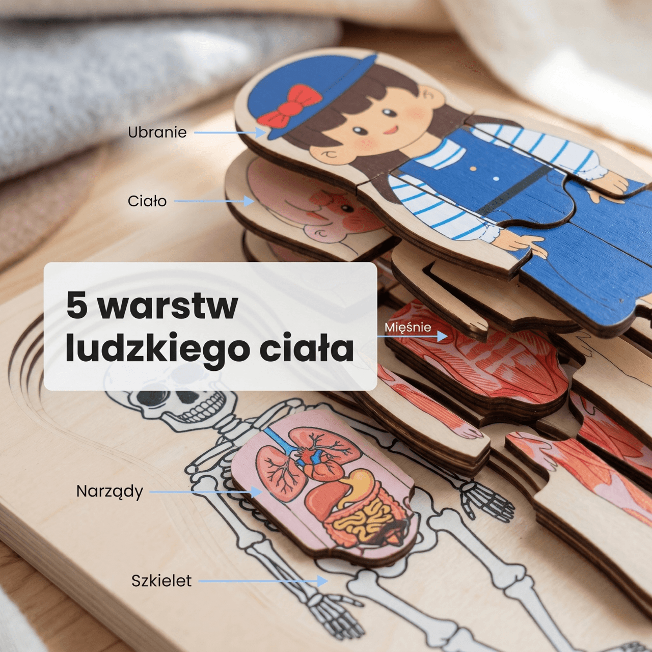 Ciałko znawca Dziewczynka