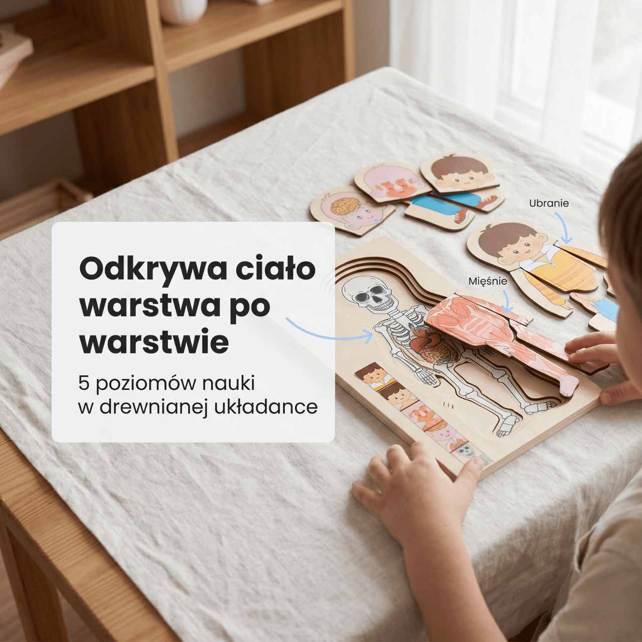 Ciałko znawca Chłopiec