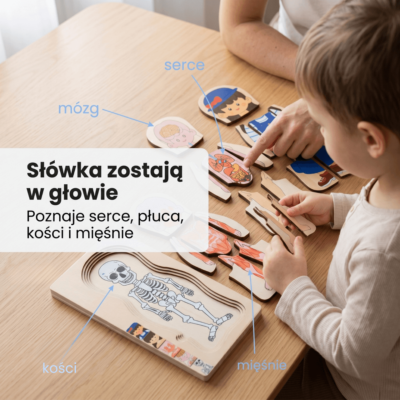 Ciałko znawca Dziewczynka