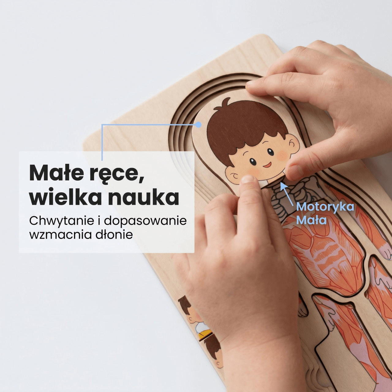 Ciałko znawca Chłopiec