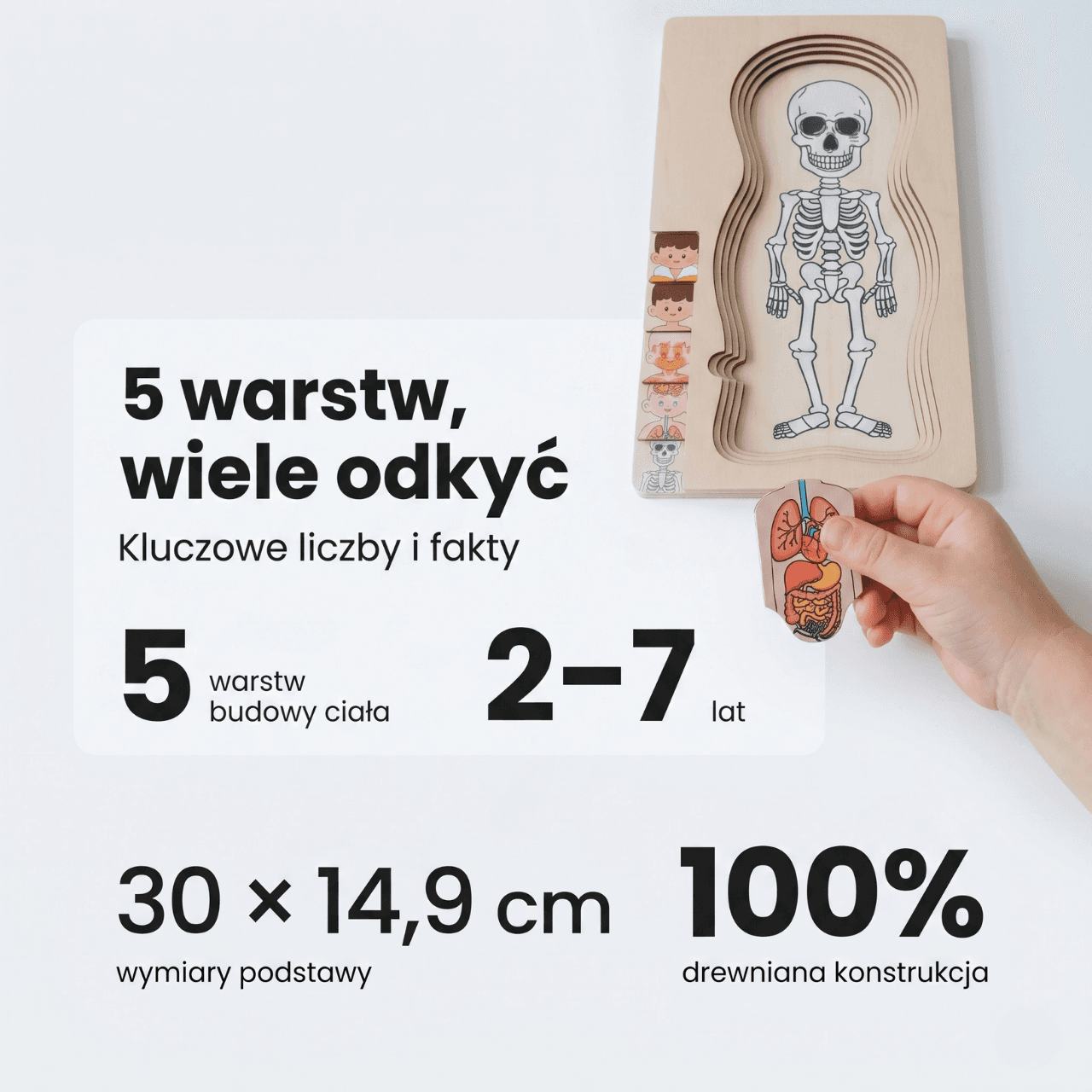 Ciałko znawca Chłopiec