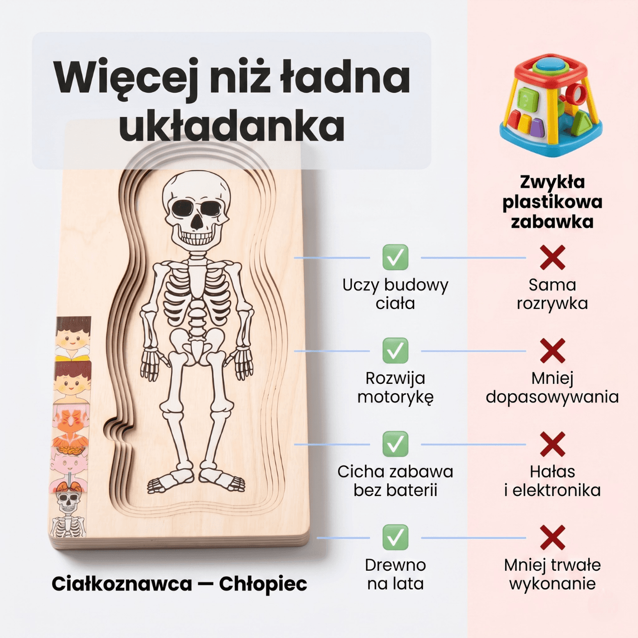 Ciałko znawca Chłopiec