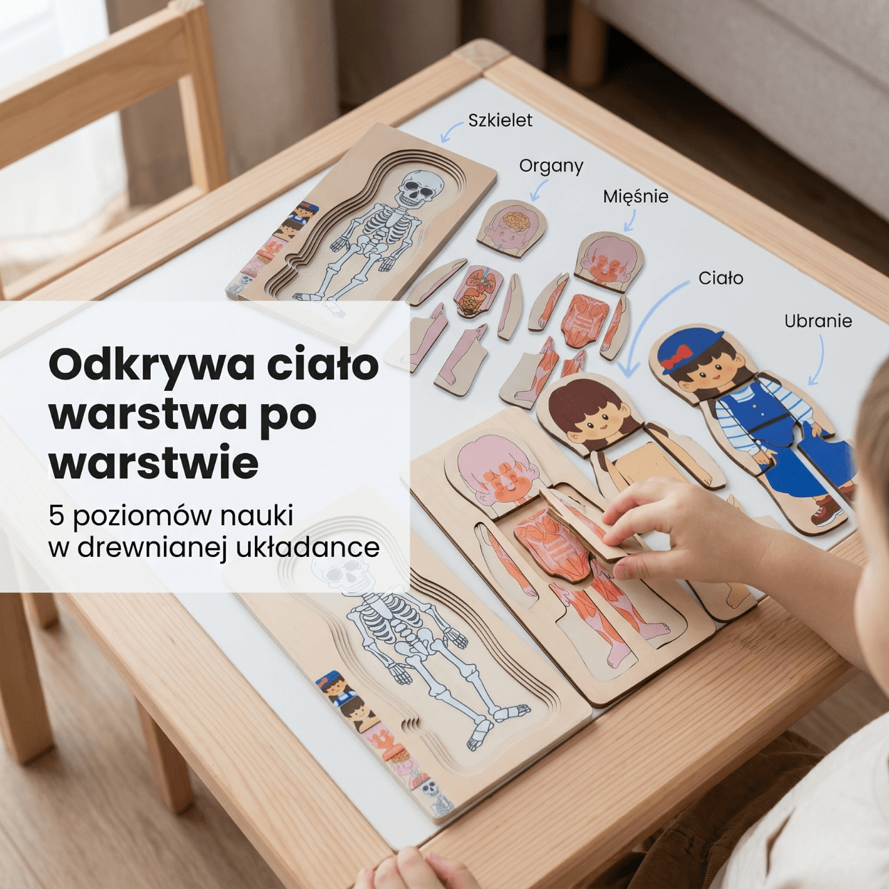 Ciałko znawca Dziewczynka